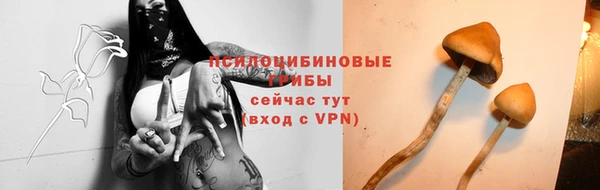 сатива Армянск