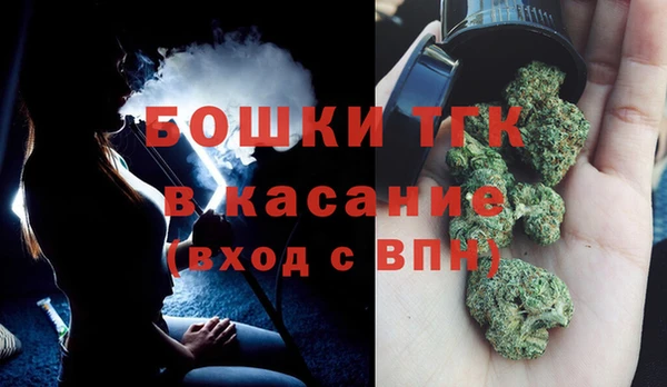 сатива Армянск