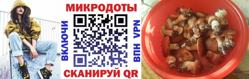 Купить закладки  Сретенск  Галлюциногенные грибы мухоморы 